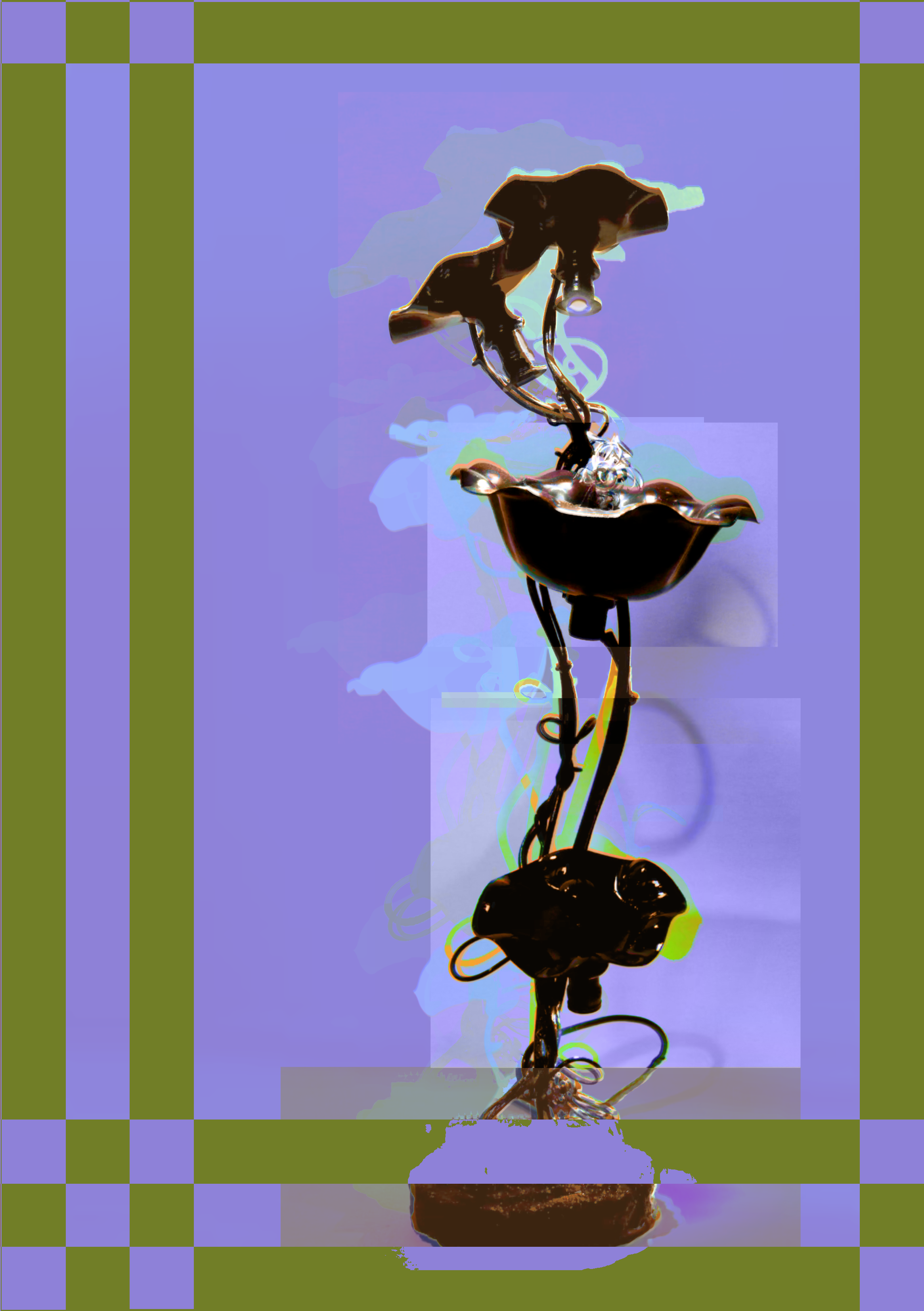 fleurs-noires - Image 2