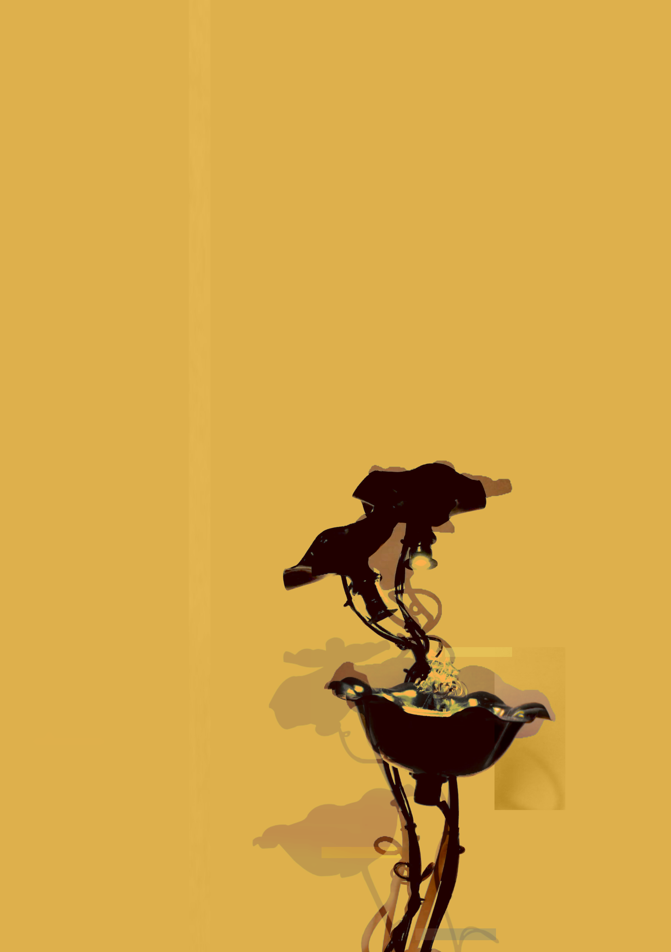 fleurs-noires - Image 3